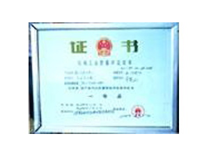 �C(j��)е���I(y��)�|(zh��)���u(p��ng)���C��